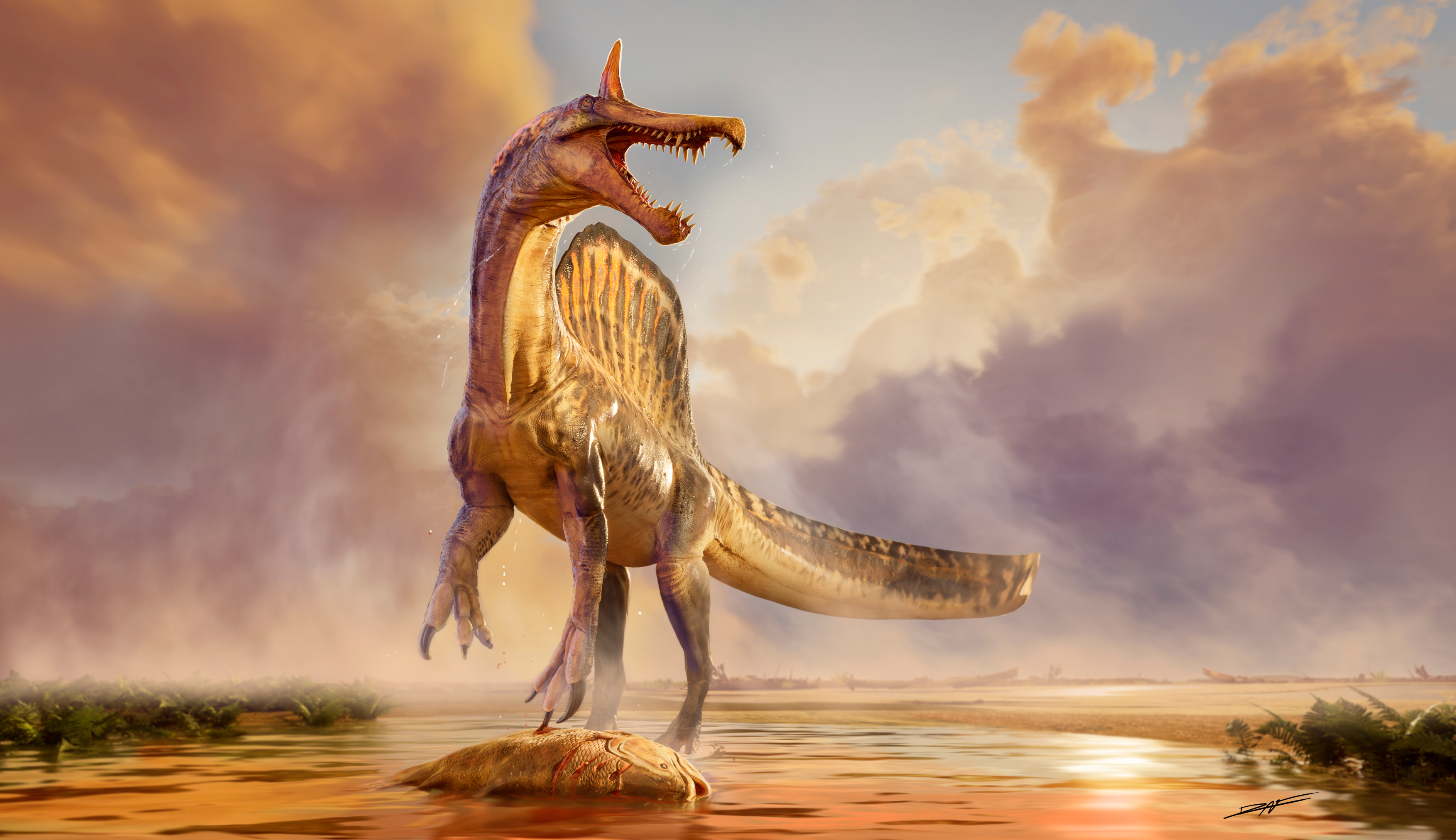 Reconstruction of a triumphant Spinosaurus mirabilis standing over a dead coelocanth, not knowing the coelocanths would outlast its species by 95 million years Reconstruction of a triumphant Spinosaurus mirabilis standing over a dead coelocanth, not knowing the coelocanths would outlast its species by 95 million years